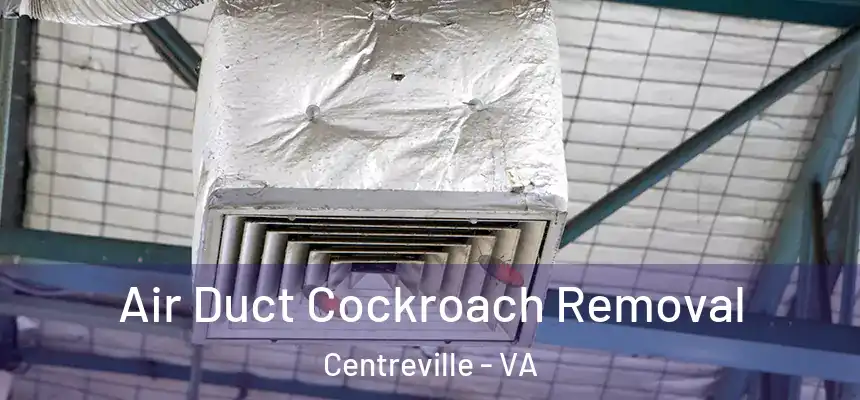 Air Duct Cockroach Removal Centreville - VA