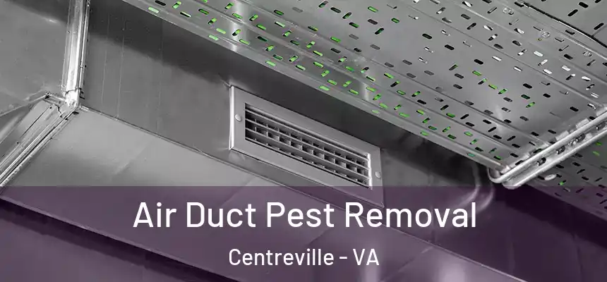 Air Duct Pest Removal Centreville - VA