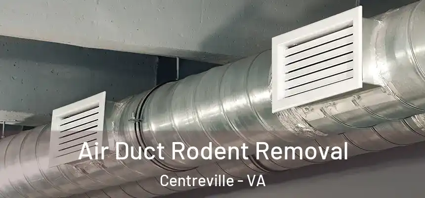 Air Duct Rodent Removal Centreville - VA