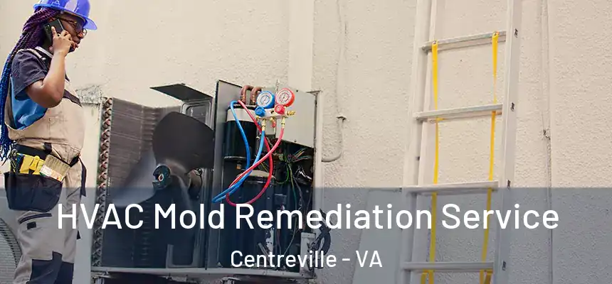  HVAC Mold Remediation Service Centreville - VA