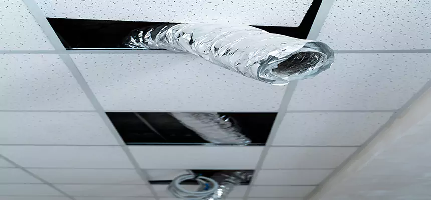 Affordable HVAC Sanitizing After Pest Removal in Centreville