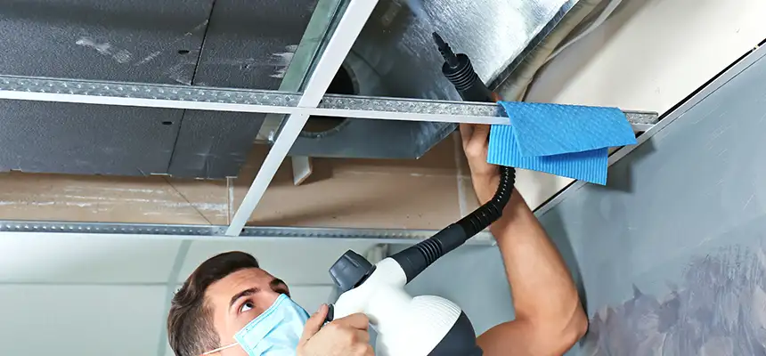 Our Air Duct Rodent Removal Services in Centreville, VA