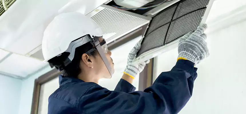 Our Mold & Mildew Removal from Air Ducts Services in Centreville, VA