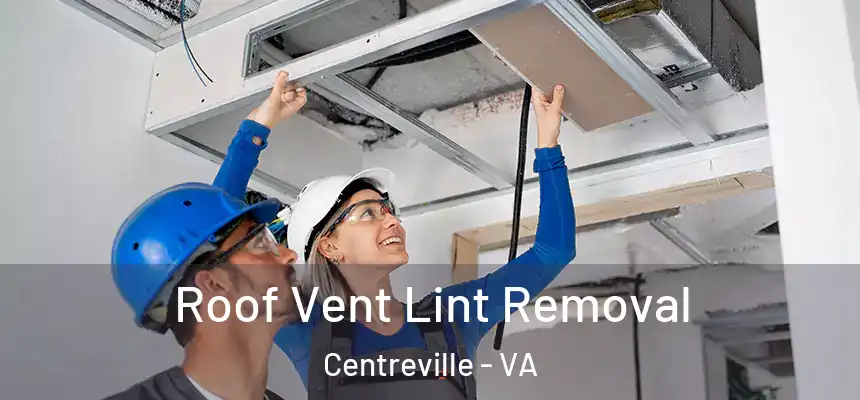  Roof Vent Lint Removal Centreville - VA