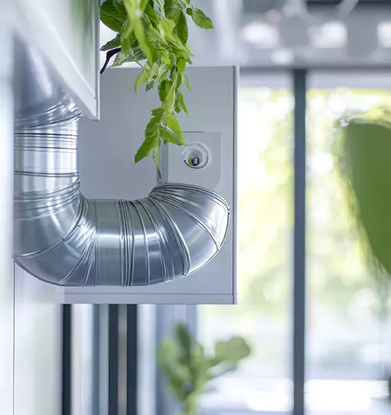 Professional Eco-Safe Dryer Vent Cleaning in Centreville, VA