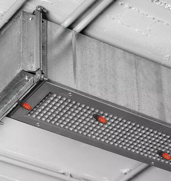 Affordable Insect Removal from Air Ducts in Centreville, VA