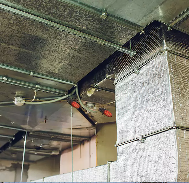 Why Homeowners & Businesses Trust Us in Centreville, VA?