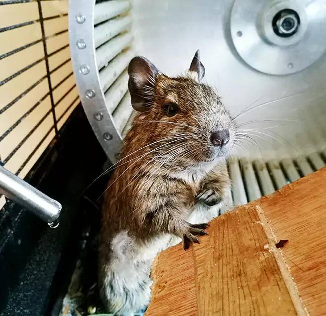 Why Homeowners & Businesses Trust Us Centreville, VA